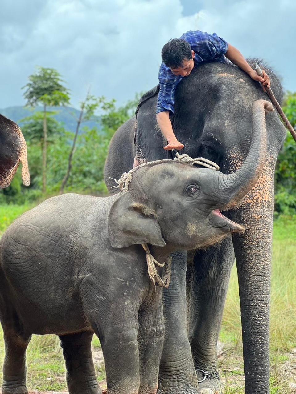 Nopparat Elephant Camp I Elephant Trekking 1 Hour