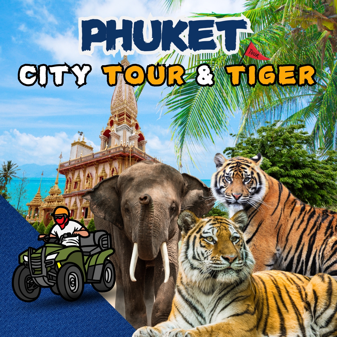 Phuket City Tour&Tiger Program B