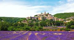 Nice to Grasse French Riviera Perfume, Wine, and Food Tour