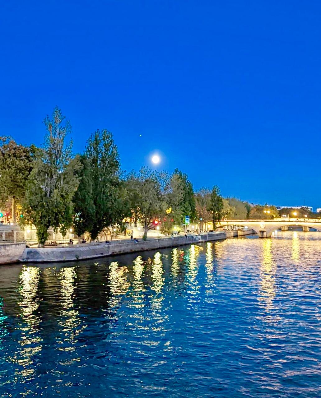 See 30+ Paris Sights : Walking and Metro Tour &  River Cruise