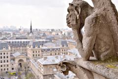 See 30+ Top Paris Sights with a Fun Guide (Walking and Metro) PRIVATE TOUR!