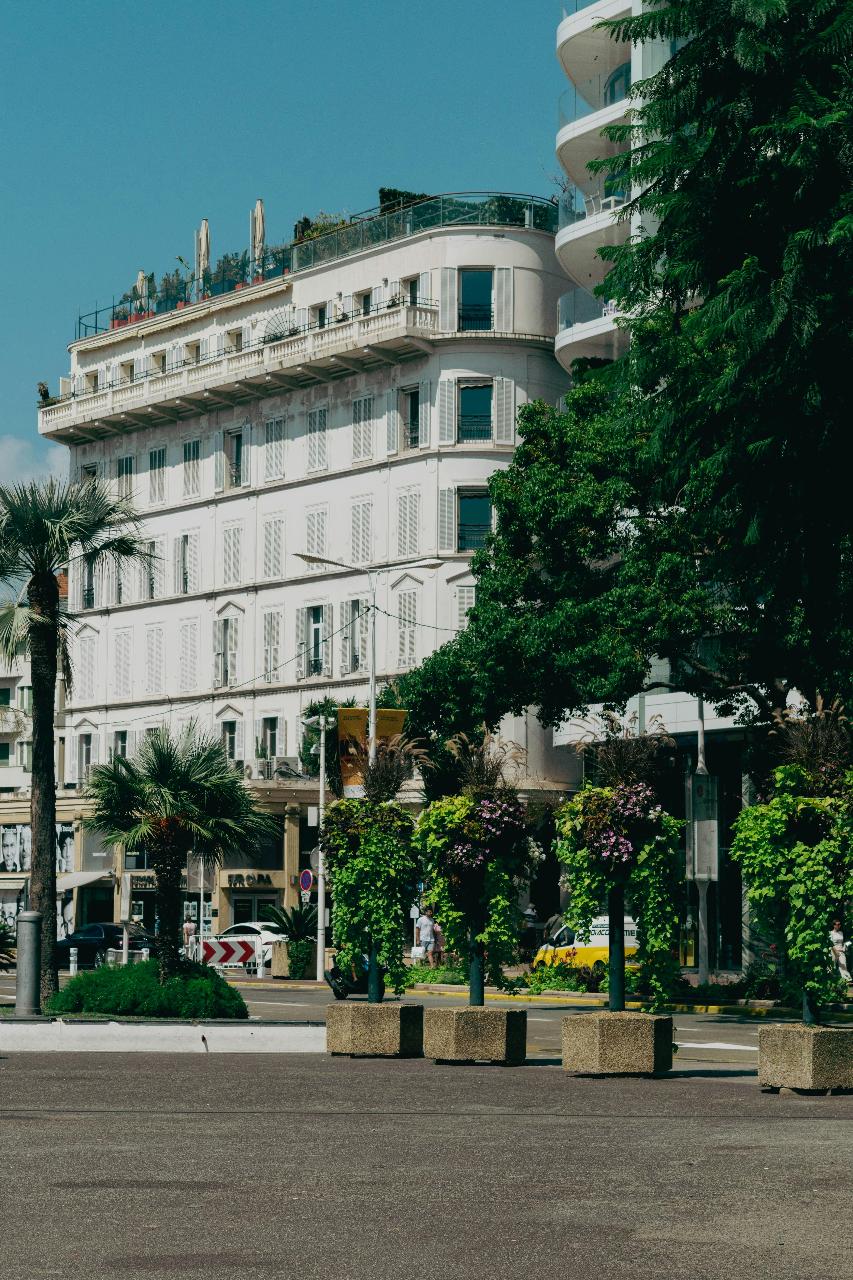 Cannes Glamour & Saint Honorat Island Escape
