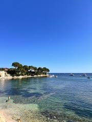 Cannes Wellness Escape: Beach Yoga & Kayaking