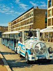 Antibes Panoramic Train Experience & Nice Guided Walking Tour