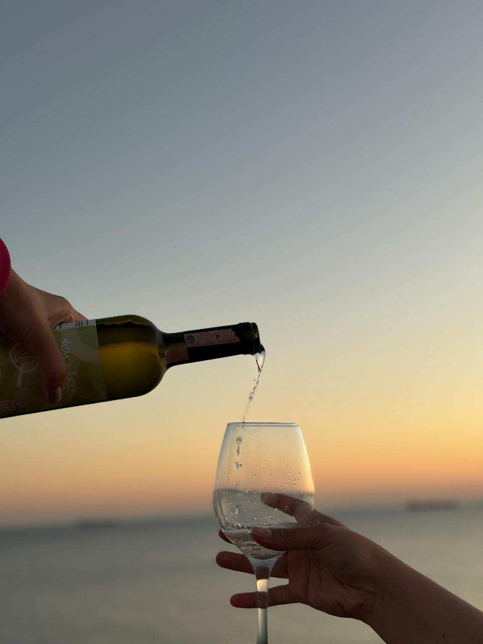 Cannes Islands & Wine Tasting Experience 
