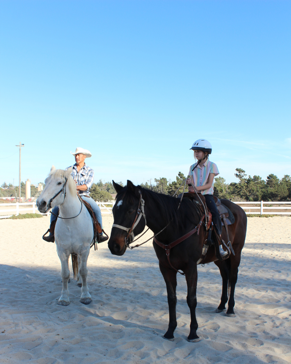 1 hour Beginner Western Lesson