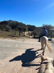 Adventurous Trail Ride Birthday Party 