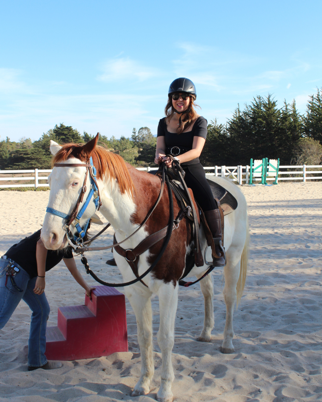 1/2 hour Beginner Western Lesson