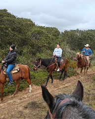 Intermediate 2 Hour Trail Ride Excursion
