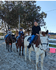 1 hour Intermediate Western Lesson