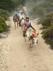 Girl Scout Trail Ride 