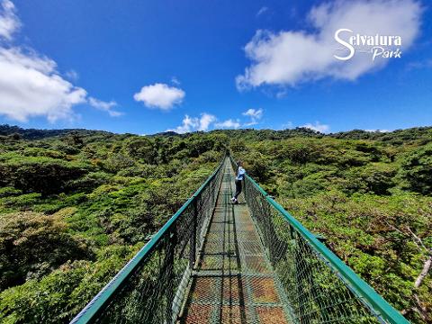 Selvatura Treetop Walkways