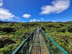 Selvatura Treetop Walkways