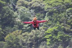 100% Aventura Zipline Tour-Transport Included