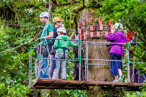 Selvatura_Park_Canopy_Tour_5