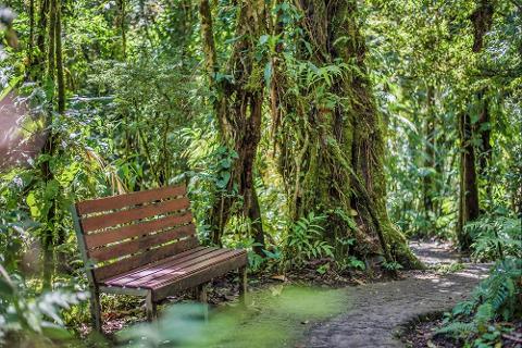 Treetop_Walkways_Selvatura_Park_11