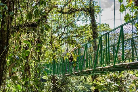 Treetop_Walkways_Selvatura_Park_13