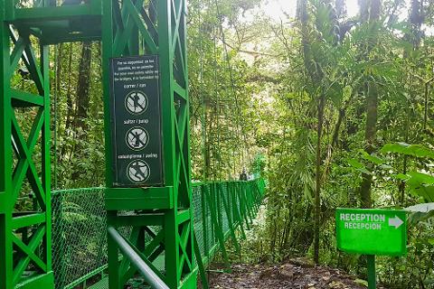 Treetop_Walkways_Selvatura_Park_7