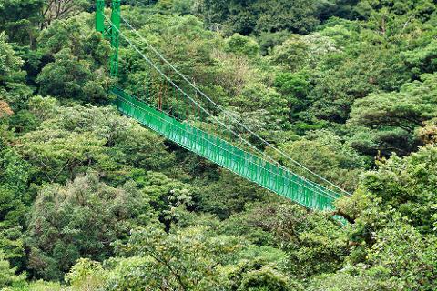 Treetop_Walkways_Selvatura_Park_8