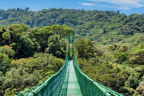 Treetop_Walkways_Selvatura_Park_9