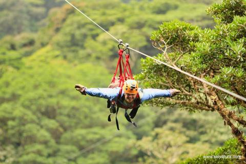 bb96beeda4d344fc855a7ff34b04982bSelvatura_Park_Canopy_Tour_1