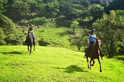 Horse Trek Monteverde COSTA RICA