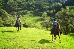 Horse Trek Monteverde COSTA RICA