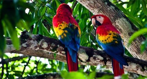 Top Activities in Costa Rica