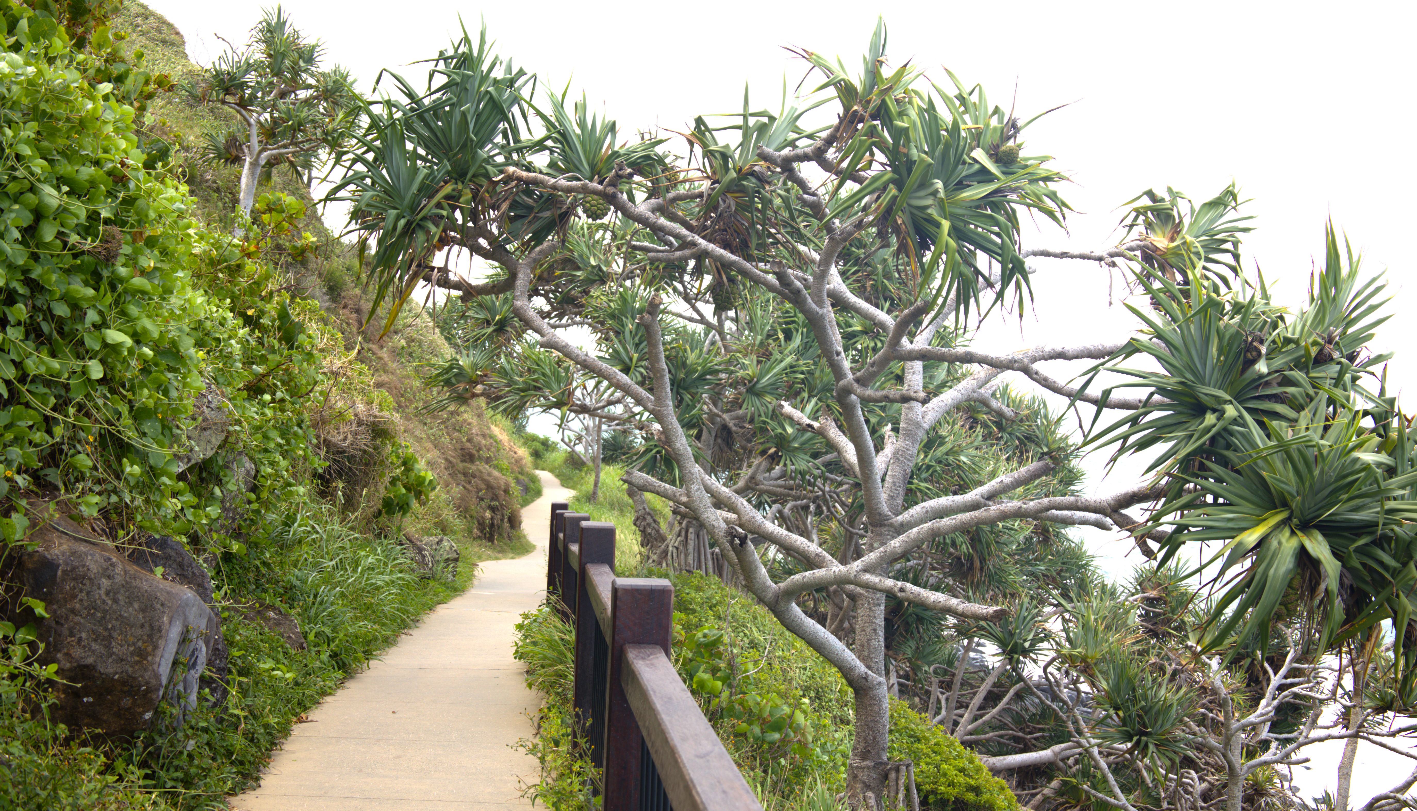 Sky View Gold Coast half day sightseeing tour