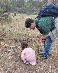 Collie Wildflower Walks 
