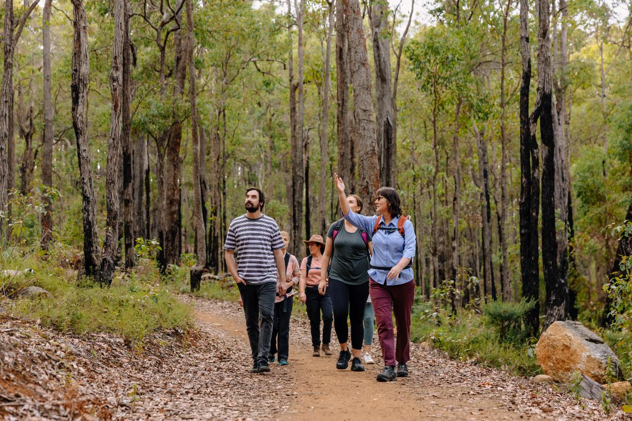  Wellington National Park - Jabitj Trail Nature Walk 