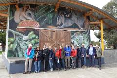 COLLIE TOWN MURAL TOUR