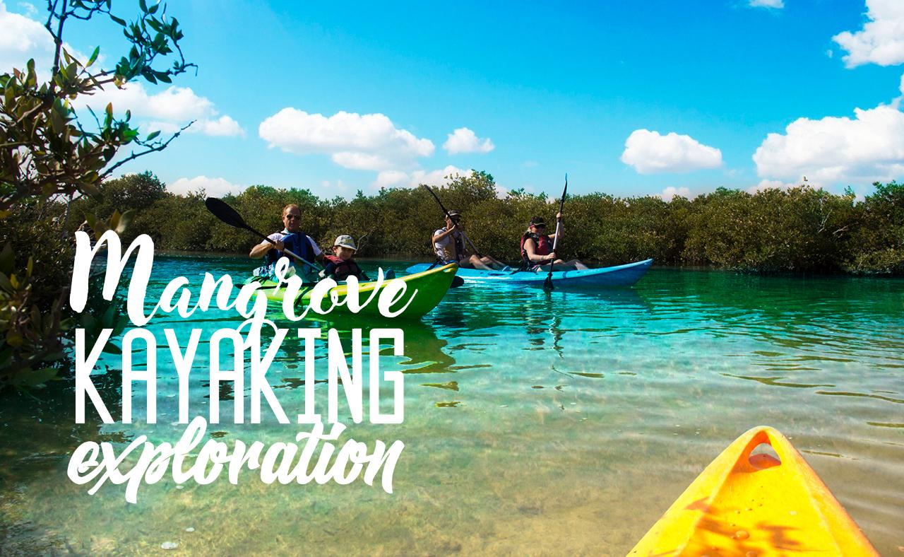 Mangrove Kayaking Exploration