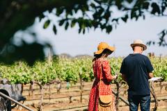  UNCORK THE MAGIC OF COONAWARRA   - FULL DAY  (Group Tours for up to11 People)