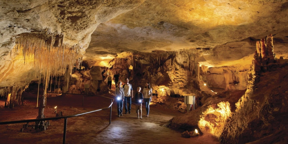  CAVES TO WINE  - FULL DAY TOUR  (Naracoorte Departure Only )