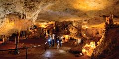  CAVES TO WINE  - FULL DAY TOUR  (Naracoorte Departure Only )