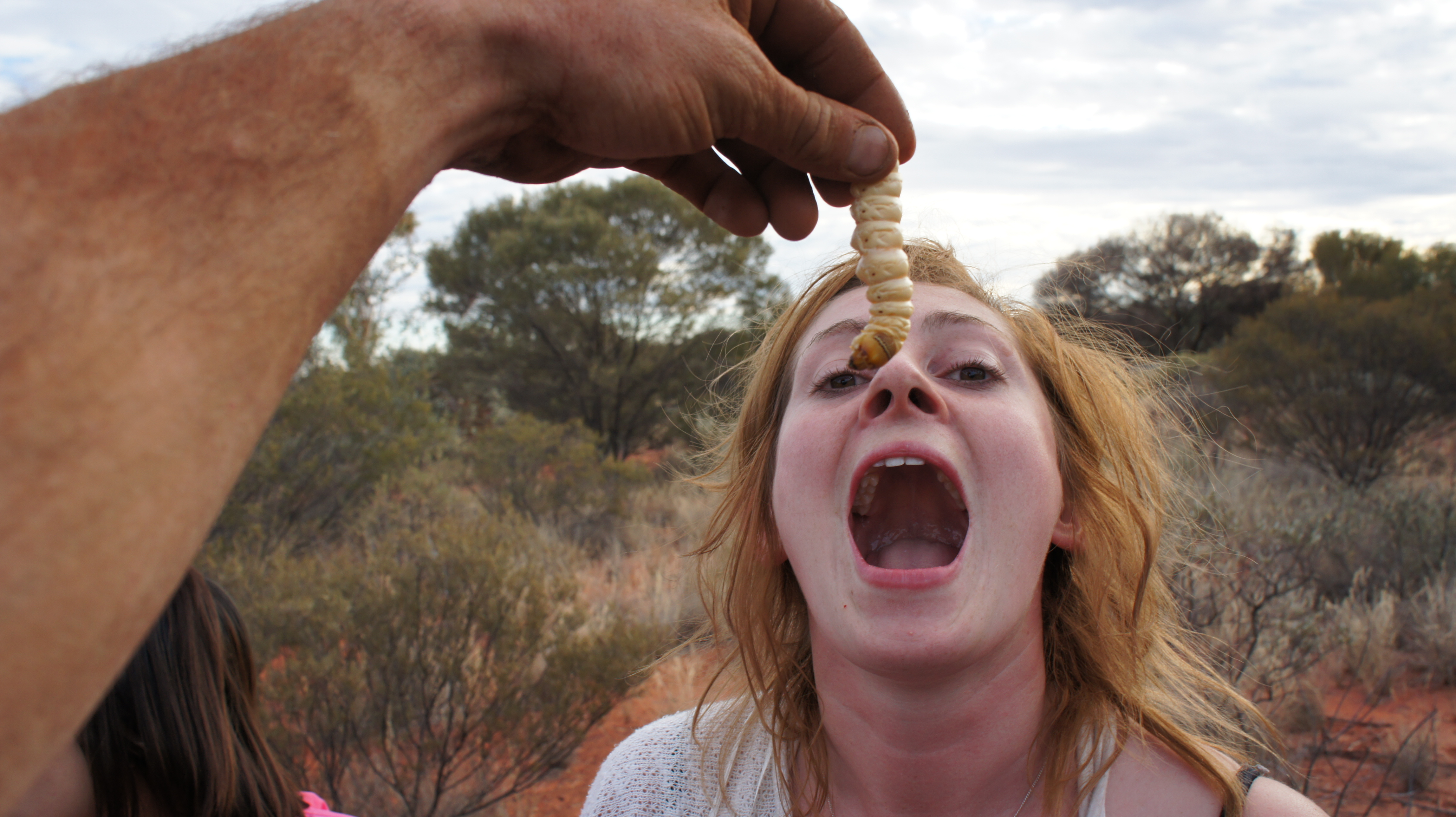 Discovery Tours NT Three Day Uluru