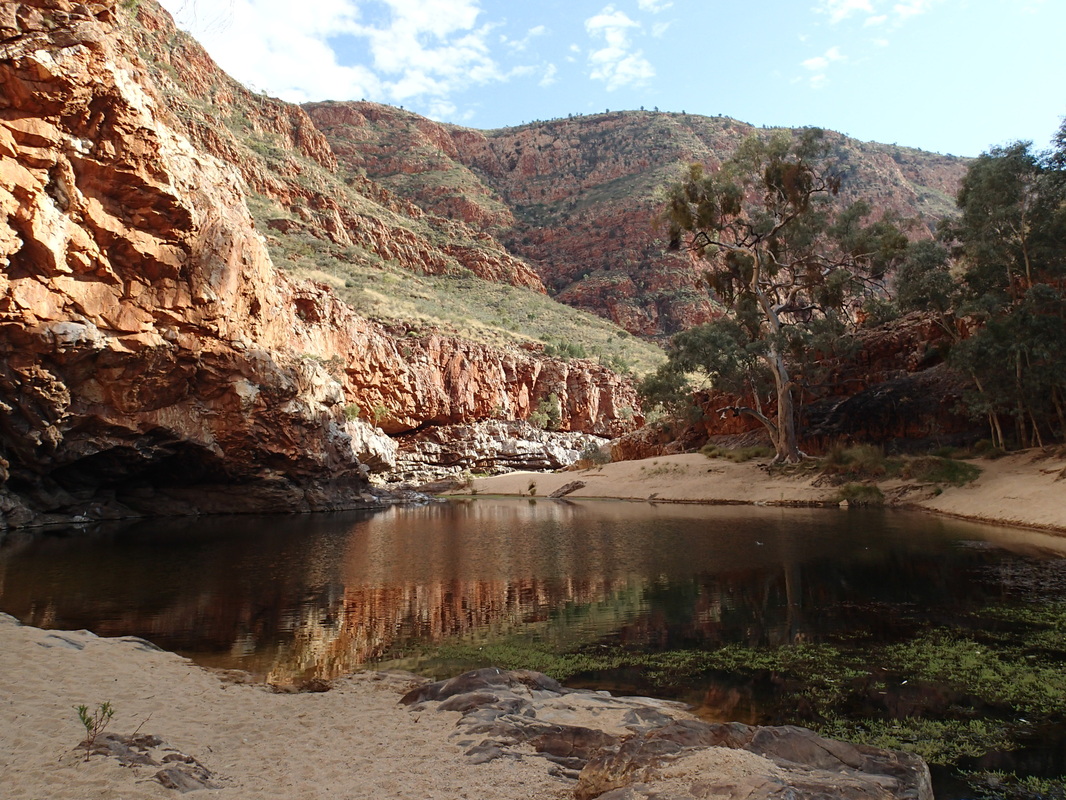 Ormiston Gorge to Alice Springs transfer