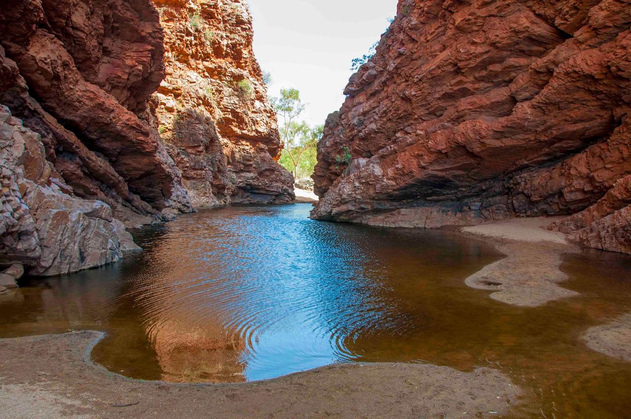 Simpsons Gap to Alice Springs transfer