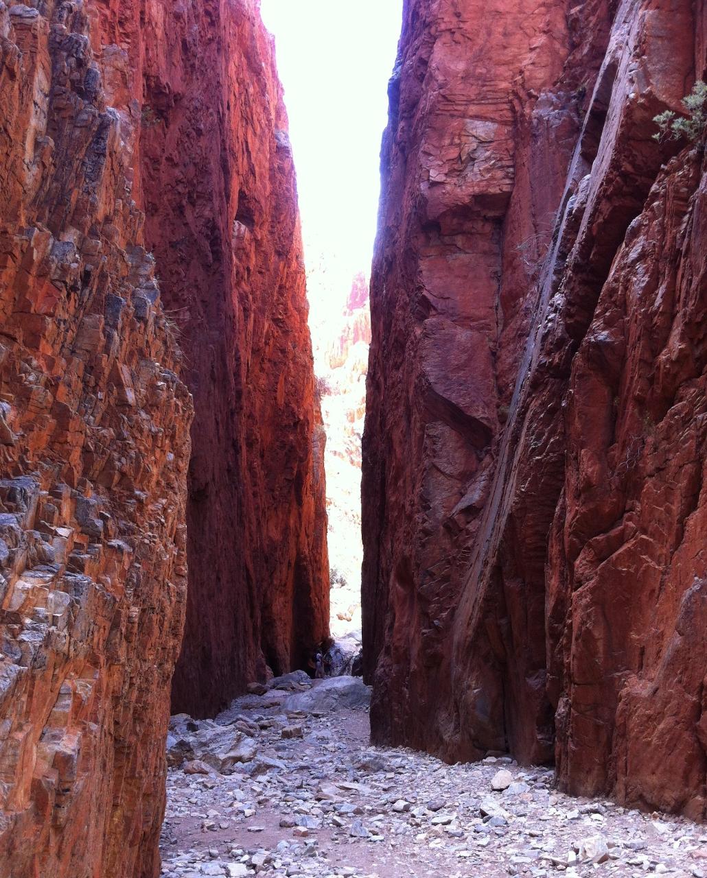  Standley Chasm to Alice Springs transfer