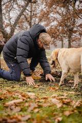 Truffle Hunt 