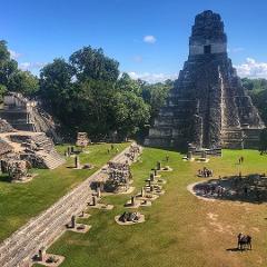 Tikal Maya Site