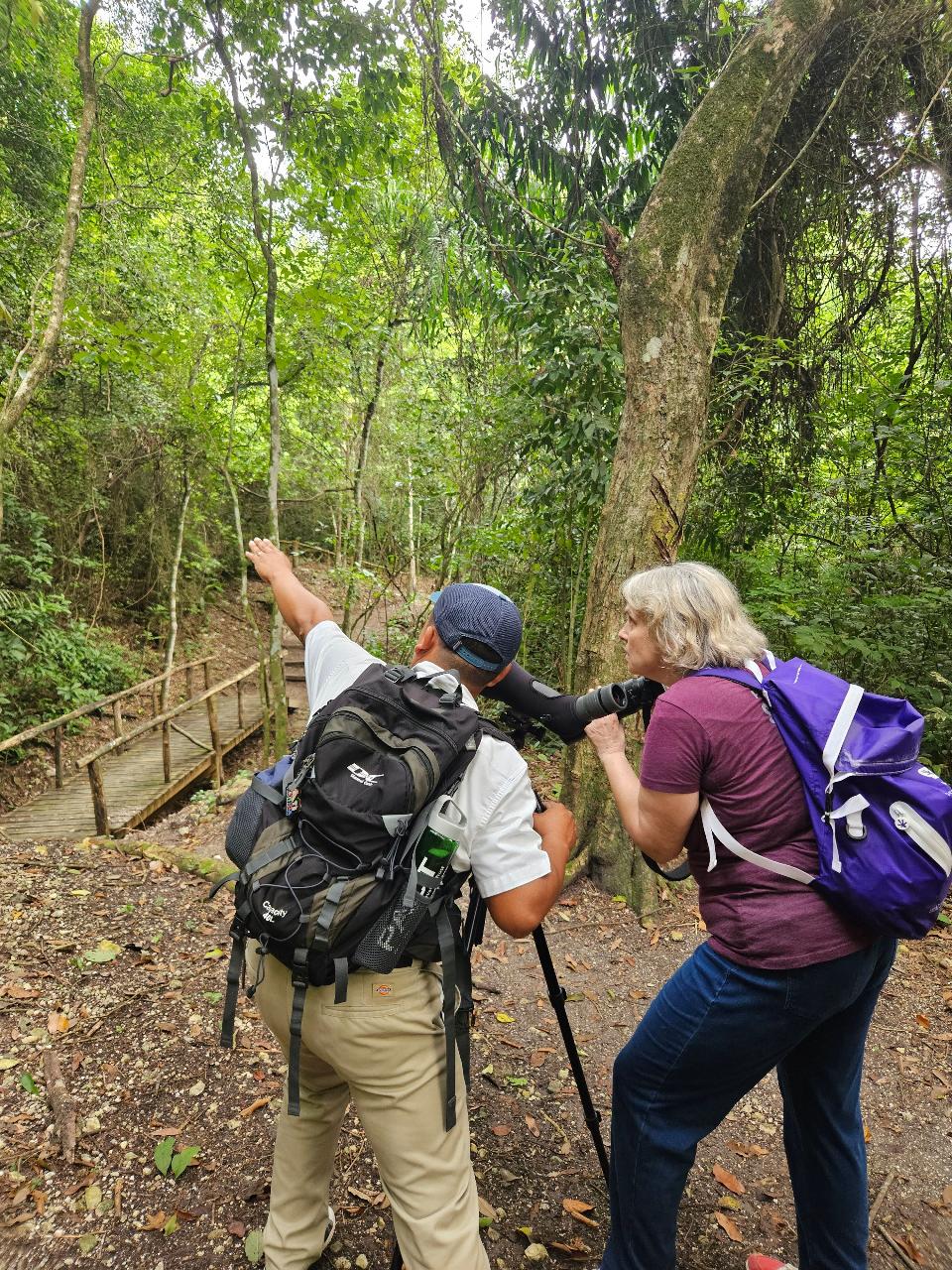 On-site Birdwatching