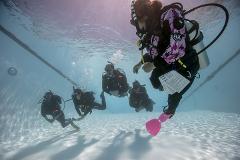PADI Open Water Diver 3 day course (Boat and Shore)