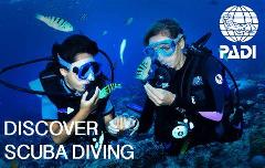PADI Discover Scuba Dive Experience