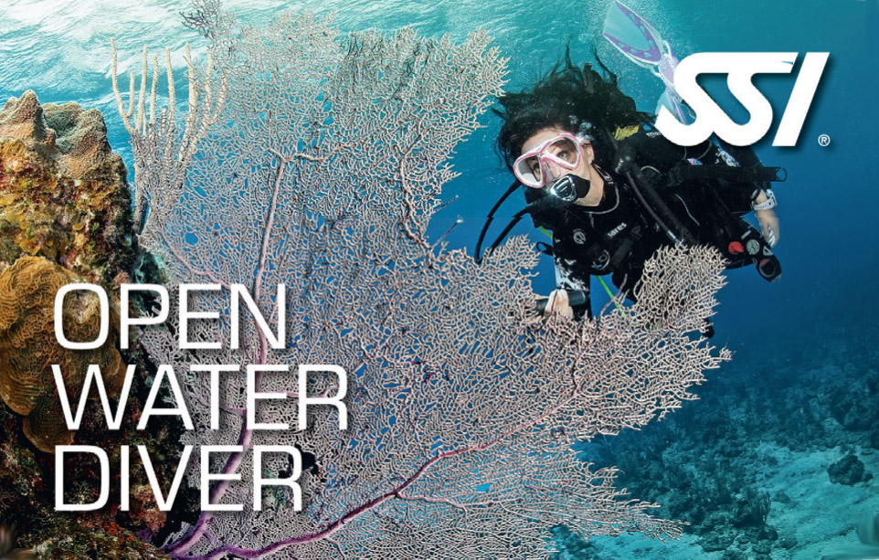 SSI Open Water Diver Course - Brisbane
