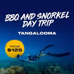 Tangalooma BBQ and Snorkel Day Trip