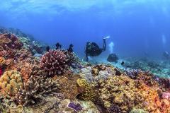 China Wall & Cherubs Cave Dive Trip