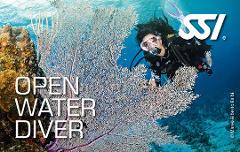 SSI Open Water Diver Course - Gold Coast