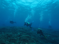 Flinders Reef Dive Trip 